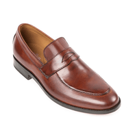Miami Antique Cognac