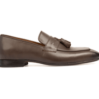 Casablanca Brown