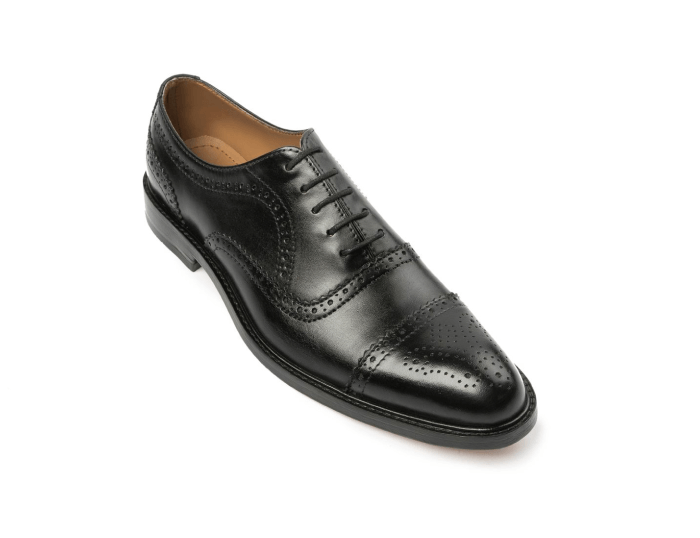 Bristol Black
